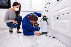 Best Residential Pest Control  in Felton, DE